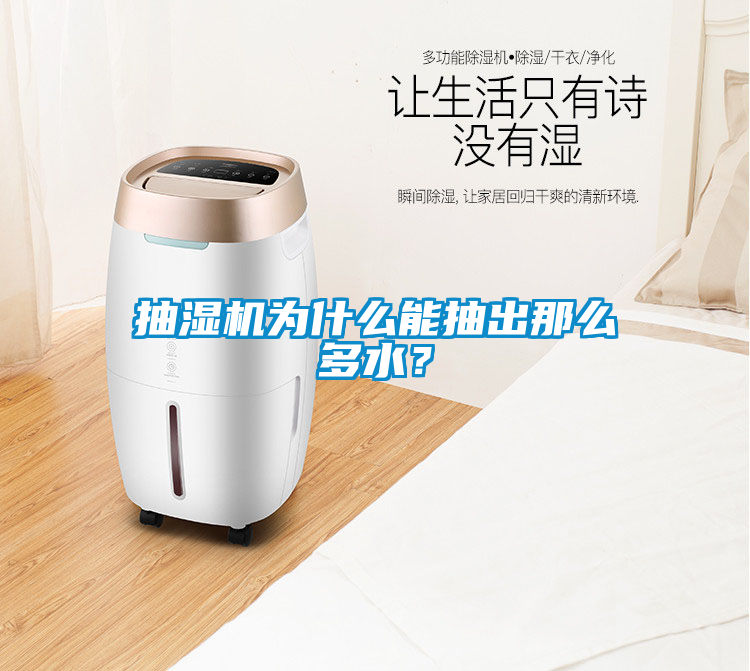 抽濕機(jī)為什么能抽出那么多水？