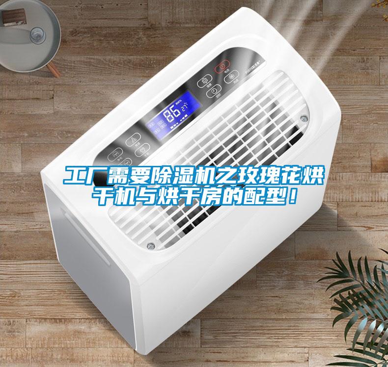 工廠需要除濕機之玫瑰花烘干機與烘干房的配型！