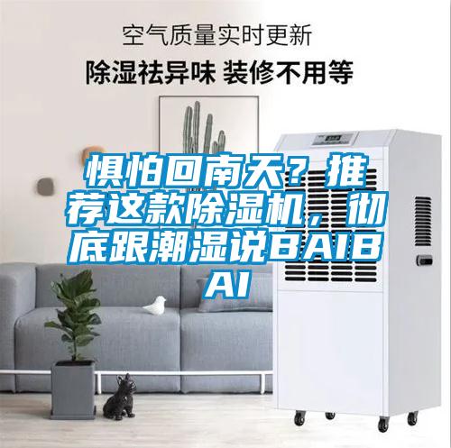 懼怕回南天？推薦這款除濕機(jī)，徹底跟潮濕說(shuō)BAIBAI