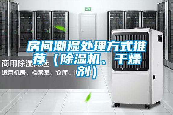 房間潮濕處理方式推薦（除濕機、干燥劑）