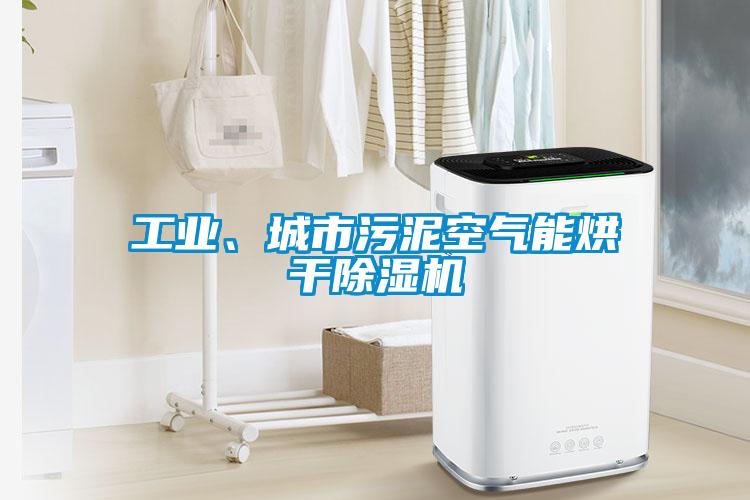 工業(yè)、城市污泥空氣能烘干除濕機(jī)