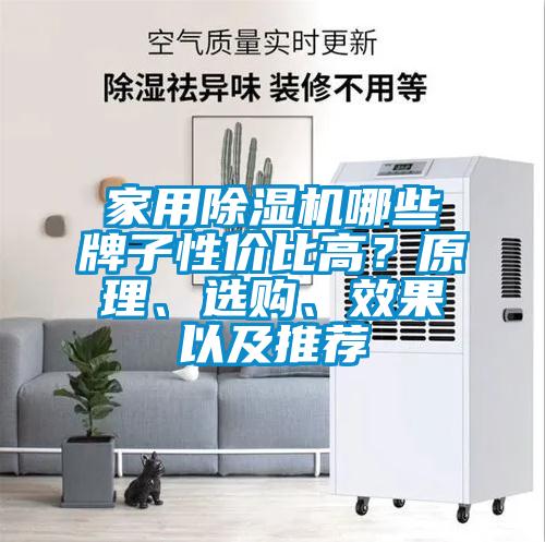 家用除濕機哪些牌子性價比高？原理、選購、效果以及推薦