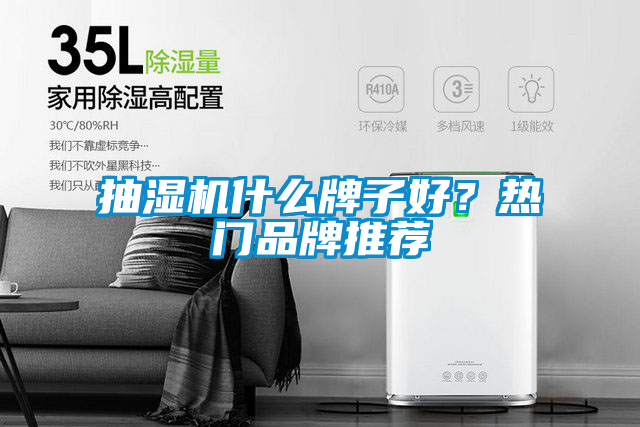 抽濕機(jī)什么牌子好？熱門品牌推薦