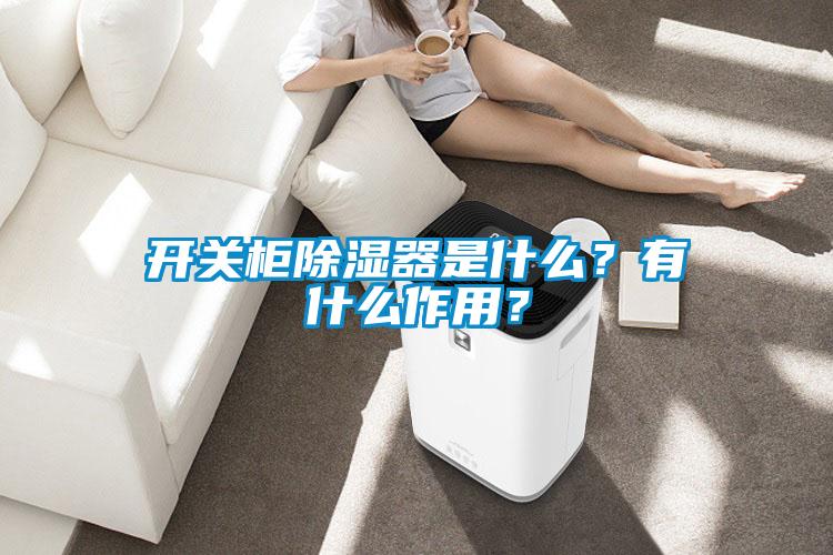 開(kāi)關(guān)柜除濕器是什么？有什么作用？