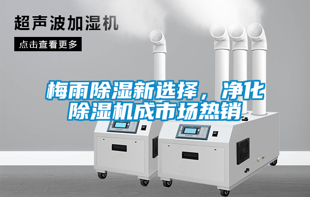梅雨除濕新選擇，凈化除濕機(jī)成市場熱銷