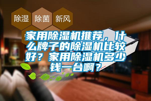 家用除濕機(jī)推薦，什么牌子的除濕機(jī)比較好？家用除濕機(jī)多少錢(qián)一臺(tái)啊？