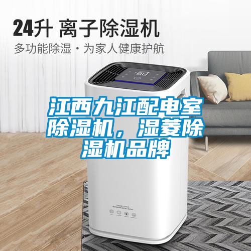 江西九江配電室除濕機(jī)，濕菱除濕機(jī)品牌