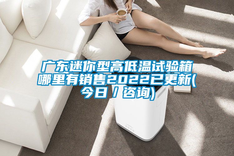廣東迷你型高低溫試驗(yàn)箱哪里有銷(xiāo)售2022已更新(今日／咨詢(xún))