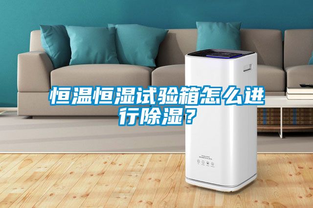 恒溫恒濕試驗箱怎么進行除濕？