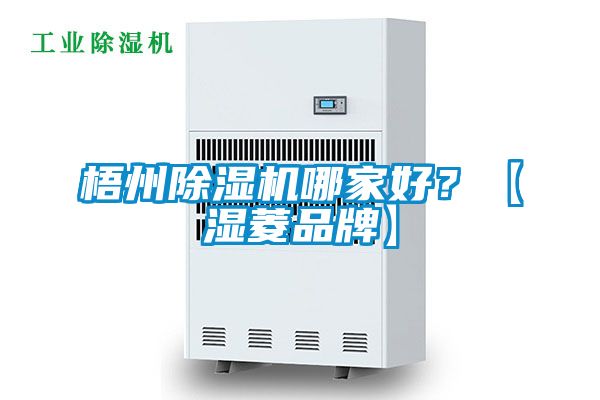 梧州除濕機(jī)哪家好？【濕菱品牌】