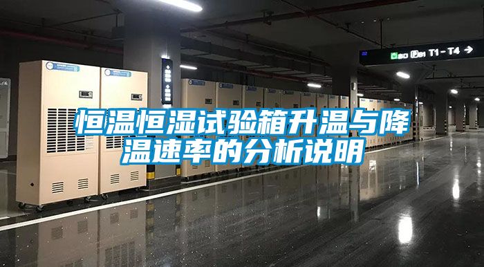 恒溫恒濕試驗(yàn)箱升溫與降溫速率的分析說明