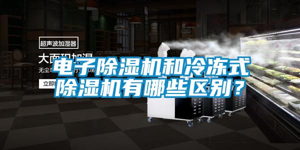 電子除濕機(jī)和冷凍式除濕機(jī)有哪些區(qū)別？