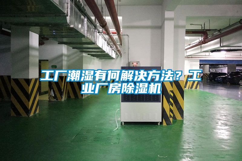 工廠潮濕有何解決方法？工業(yè)廠房除濕機(jī)