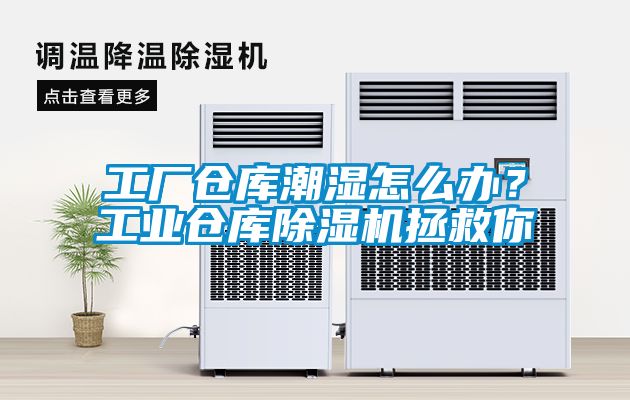 工廠倉(cāng)庫(kù)潮濕怎么辦？工業(yè)倉(cāng)庫(kù)除濕機(jī)拯救你