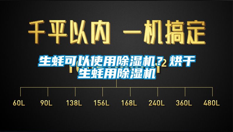 生蠔可以使用除濕機？烘干生蠔用除濕機
