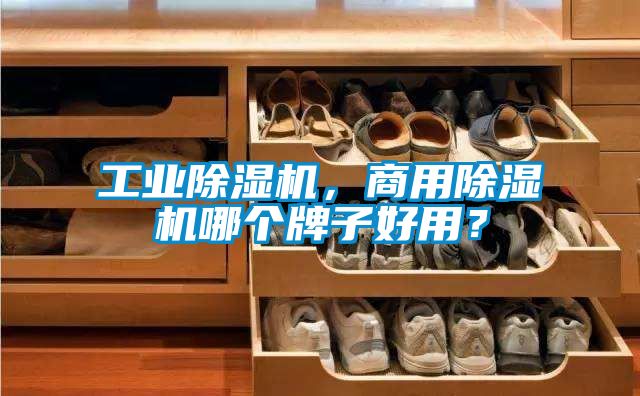 工業(yè)除濕機(jī)，商用除濕機(jī)哪個(gè)牌子好用？