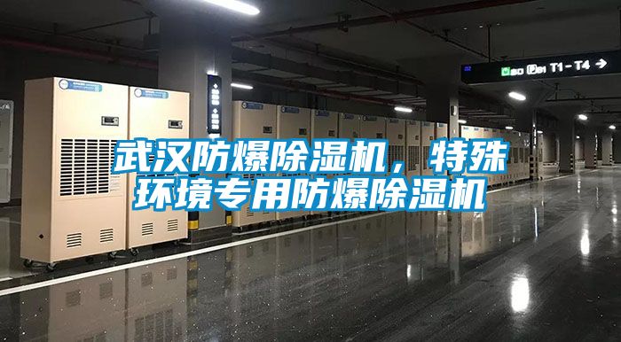 武漢防爆除濕機(jī)，特殊環(huán)境專用防爆除濕機(jī)