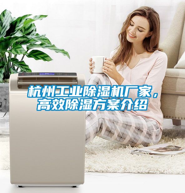 杭州工業(yè)除濕機廠家，高效除濕方案介紹