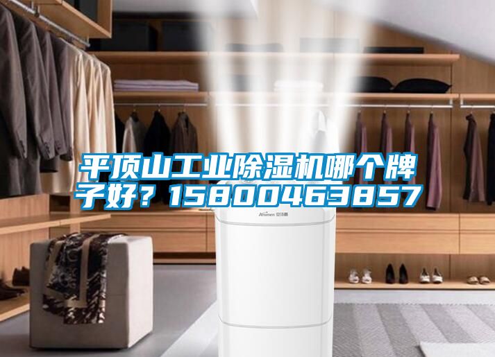 平頂山工業(yè)除濕機哪個牌子好？15800463857