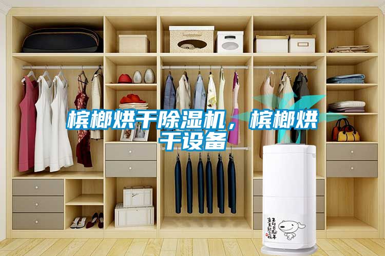 檳榔烘干除濕機(jī)，檳榔烘干設(shè)備