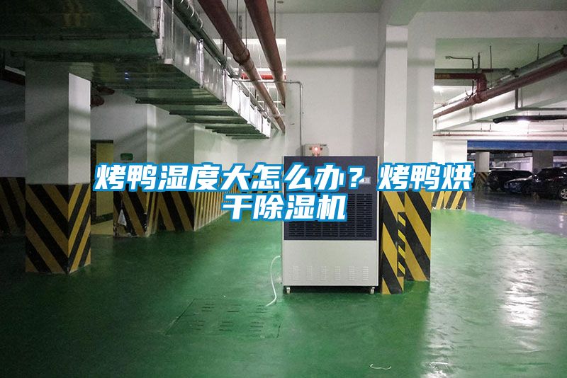 烤鴨濕度大怎么辦？烤鴨烘干除濕機(jī)