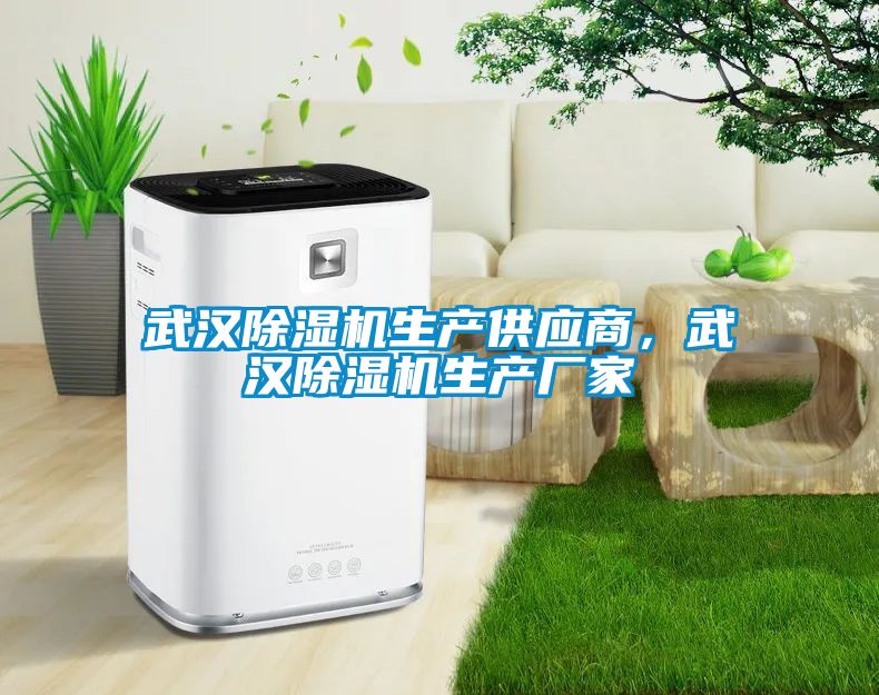 武漢除濕機(jī)生產(chǎn)供應(yīng)商，武漢除濕機(jī)生產(chǎn)廠家