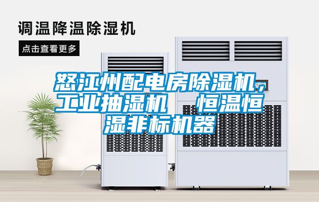 怒江州配電房除濕機(jī)，工業(yè)抽濕機(jī)  恒溫恒濕非標(biāo)機(jī)器