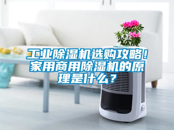 工業(yè)除濕機選購攻略！家用商用除濕機的原理是什么？