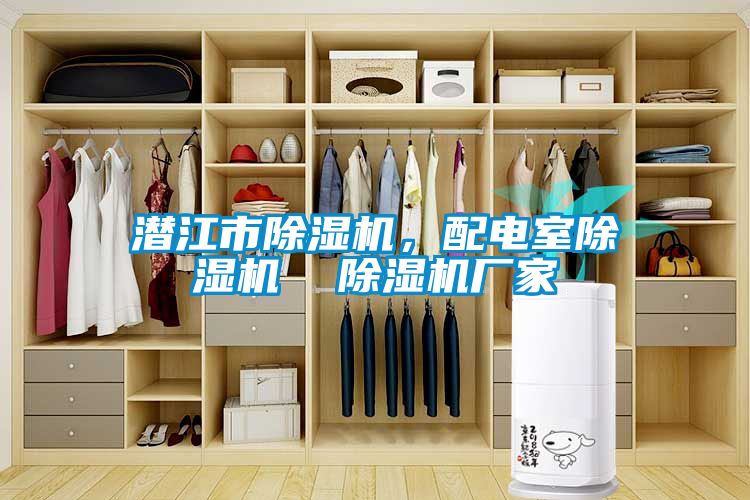 潛江市除濕機(jī)，配電室除濕機(jī)  除濕機(jī)廠家