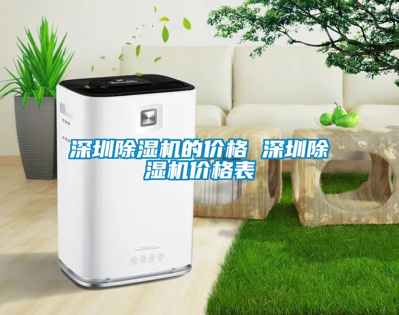 深圳除濕機(jī)的價格 深圳除濕機(jī)價格表