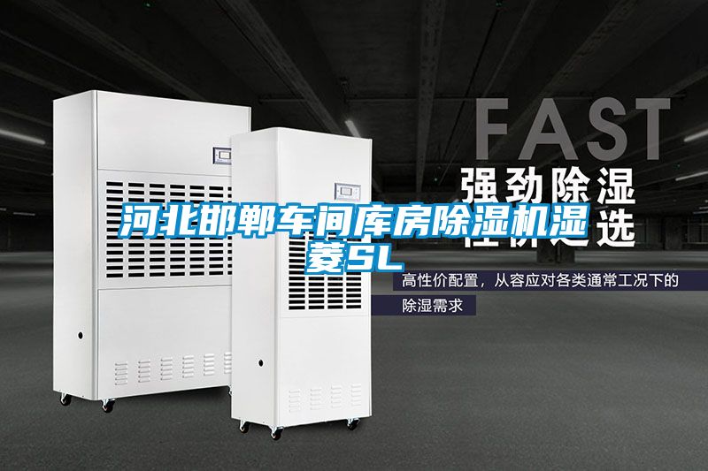 河北邯鄲車間庫(kù)房除濕機(jī)濕菱SL