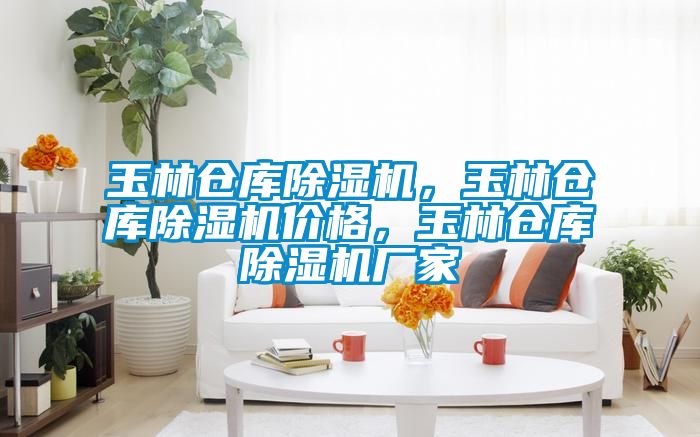 玉林倉庫除濕機，玉林倉庫除濕機價格，玉林倉庫除濕機廠家