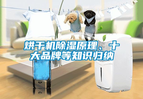 烘干機(jī)除濕原理、十大品牌等知識(shí)歸納