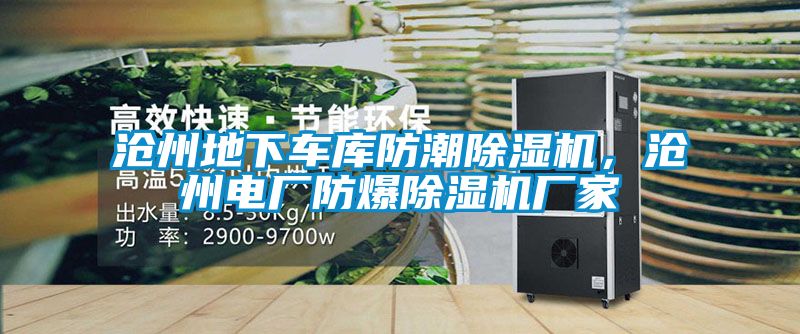 滄州地下車庫防潮除濕機(jī)，滄州電廠防爆除濕機(jī)廠家