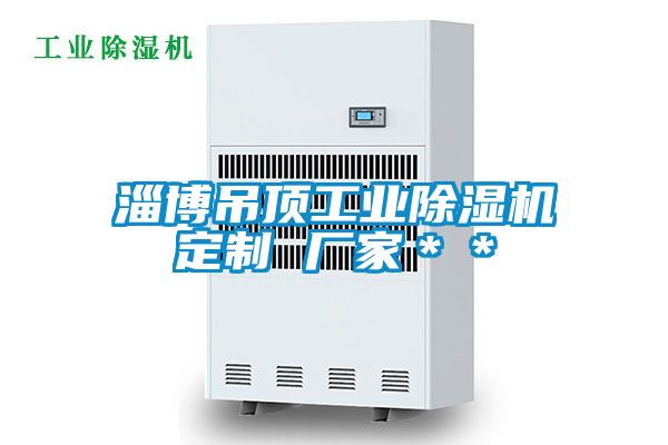 淄博吊頂工業(yè)除濕機(jī)定制 廠(chǎng)家＊＊