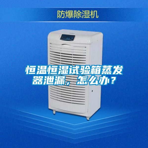 恒溫恒濕試驗(yàn)箱蒸發(fā)器泄漏,怎么辦?