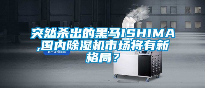 突然殺出的黑馬ISHIMA,國內(nèi)除濕機(jī)市場將有新格局？