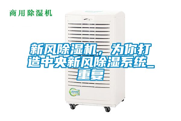 新風除濕機，為你打造中央新風除濕系統(tǒng)_重復