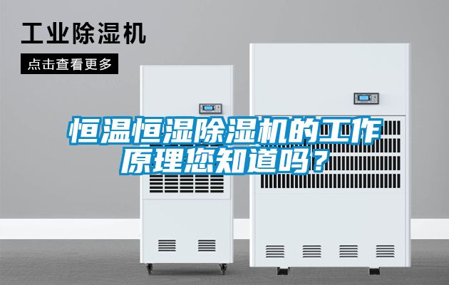 恒溫恒濕除濕機(jī)的工作原理您知道嗎？
