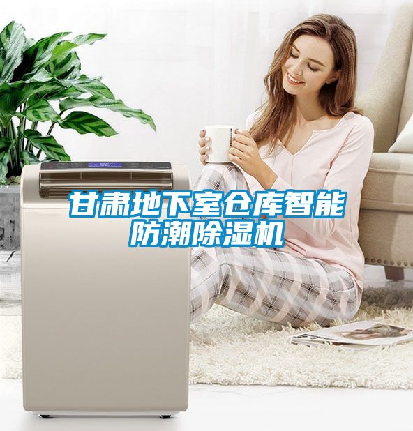 甘肅地下室倉庫智能防潮除濕機(jī)