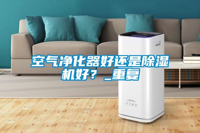 空氣凈化器好還是除濕機(jī)好？_重復(fù)