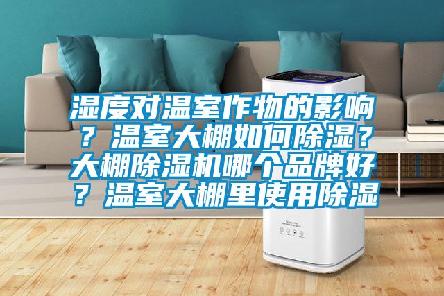 濕度對溫室作物的影響？溫室大棚如何除濕？大棚除濕機哪個品牌好？溫室大棚里使用除濕