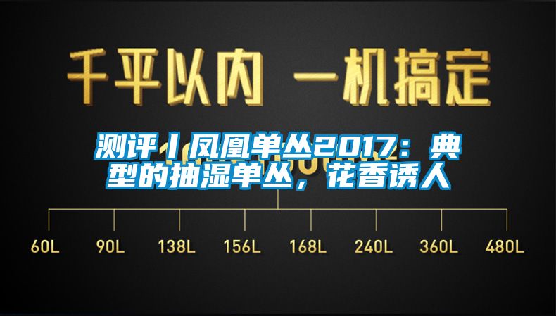 測評(píng)丨鳳凰單叢2017：典型的抽濕單叢，花香誘人