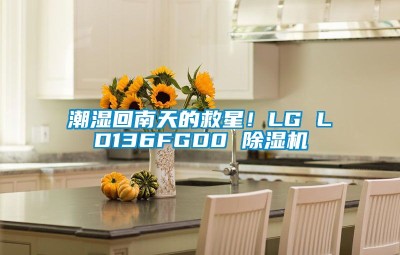 潮濕回南天的救星！LG LD136FGD0 除濕機(jī)