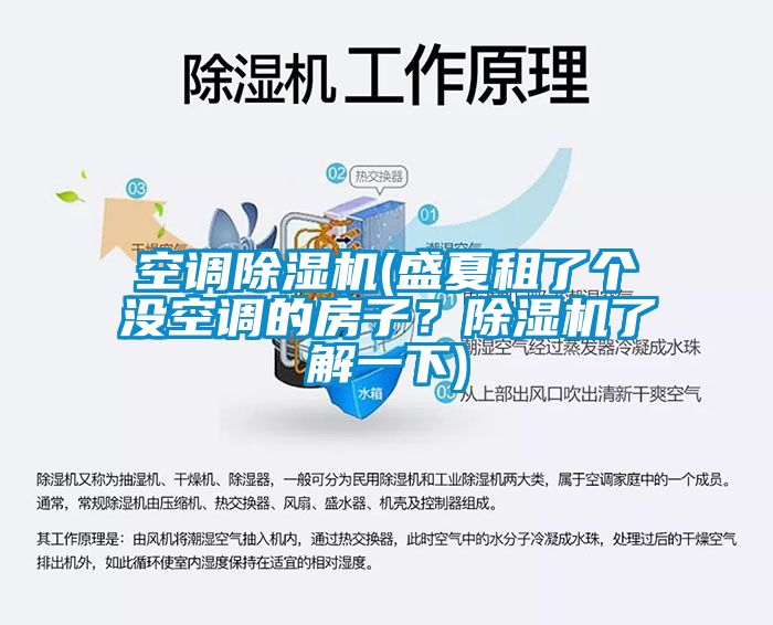 空調(diào)除濕機(jī)(盛夏租了個(gè)沒空調(diào)的房子？除濕機(jī)了解一下)
