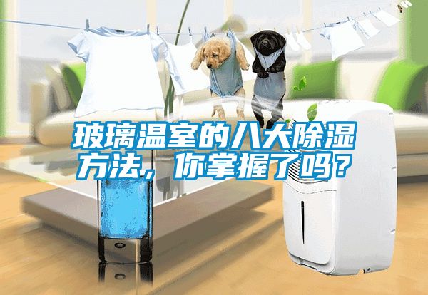 玻璃溫室的八大除濕方法，你掌握了嗎？