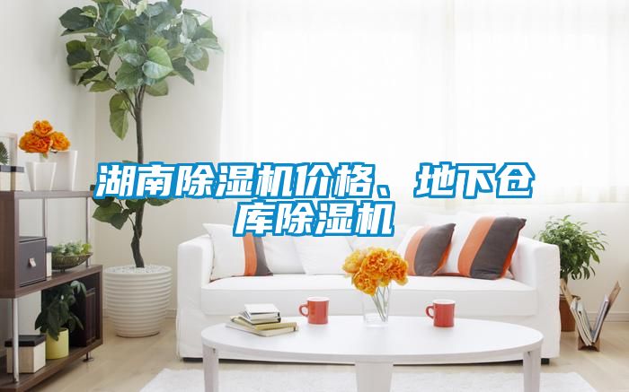 湖南除濕機價格、地下倉庫除濕機