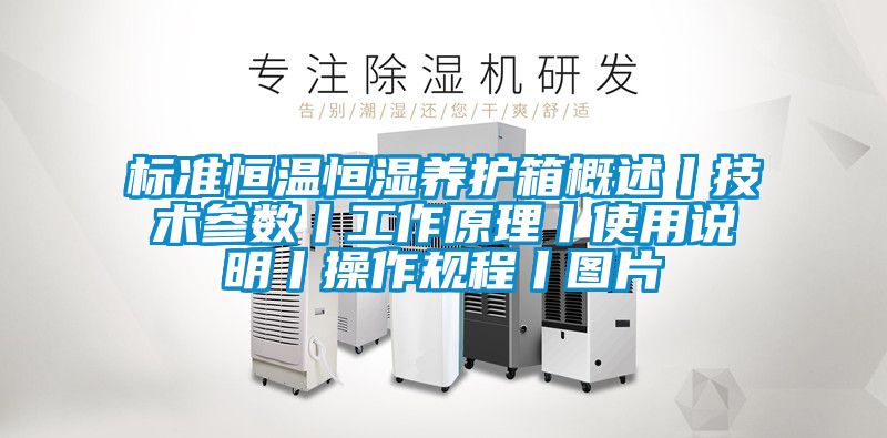 標準恒溫恒濕養(yǎng)護箱概述丨技術參數丨工作原理丨使用說明丨操作規(guī)程丨圖片