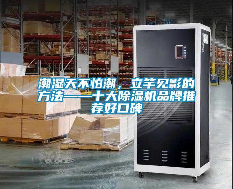 潮濕天不怕潮，立竿見影的方法——十大除濕機(jī)品牌推薦好口碑