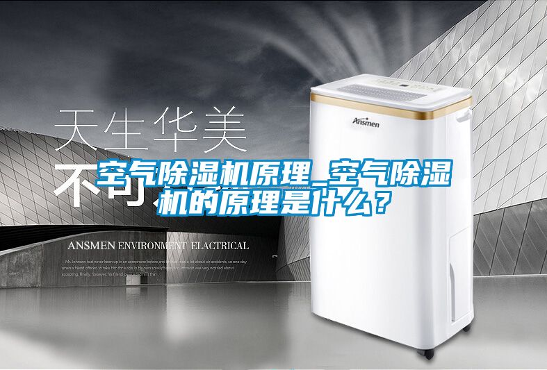 空氣除濕機(jī)原理_空氣除濕機(jī)的原理是什么？